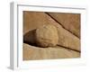 Boulder and Cracks, Joshua Tree National Park, California, United States of America, North America-James Hager-Framed Photographic Print