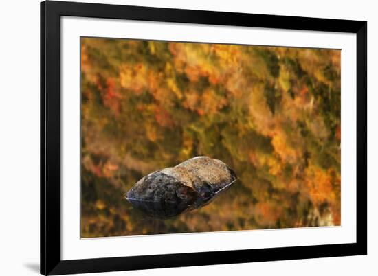 Boulder and fall colors reflected on beaver pond, White Mountains National Forest, New Hampshire-Adam Jones-Framed Photographic Print