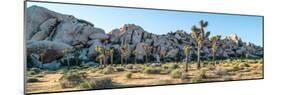 Boulder and Joshua trees in a desert, Joshua Tree National Park, San Bernardino County, Riversid...-null-Mounted Photographic Print