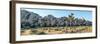 Boulder and Joshua trees in a desert, Joshua Tree National Park, San Bernardino County, Riversid...-null-Framed Premium Photographic Print