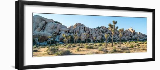 Boulder and Joshua trees in a desert, Joshua Tree National Park, San Bernardino County, Riversid...-null-Framed Premium Photographic Print