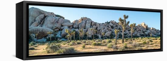 Boulder and Joshua trees in a desert, Joshua Tree National Park, San Bernardino County, Riversid...-null-Framed Stretched Canvas