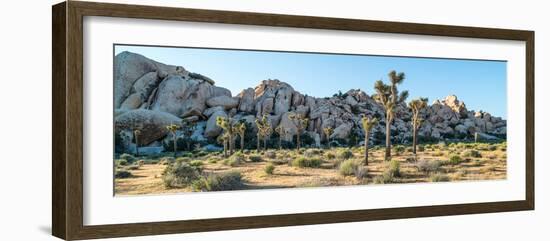 Boulder and Joshua trees in a desert, Joshua Tree National Park, San Bernardino County, Riversid...-null-Framed Photographic Print