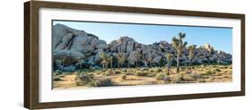 Boulder and Joshua trees in a desert, Joshua Tree National Park, San Bernardino County, Riversid...-null-Framed Photographic Print