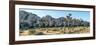 Boulder and Joshua trees in a desert, Joshua Tree National Park, San Bernardino County, Riversid...-null-Framed Photographic Print