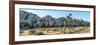 Boulder and Joshua trees in a desert, Joshua Tree National Park, San Bernardino County, Riversid...-null-Framed Photographic Print