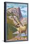 Boulder, Colorado, Big Horn Sheep-Lantern Press-Stretched Canvas