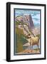 Boulder, Colorado, Big Horn Sheep-Lantern Press-Framed Art Print