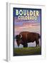 Boulder, Colorado - Bison and Sunset-Lantern Press-Framed Art Print