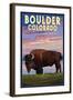 Boulder, Colorado - Bison and Sunset-Lantern Press-Framed Art Print