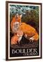 Boulder, Colorado - Fox and Kit-Lantern Press-Framed Art Print