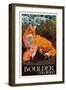 Boulder, Colorado - Fox and Kit-Lantern Press-Framed Art Print