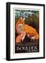 Boulder, Colorado - Fox and Kit-Lantern Press-Framed Art Print