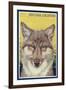 Boulder, Colorado - Gray Wolf Retro Poster-Lantern Press-Framed Art Print