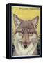 Boulder, Colorado - Gray Wolf Retro Poster-Lantern Press-Framed Stretched Canvas