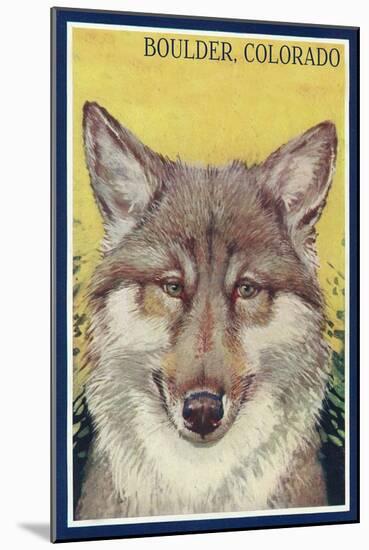 Boulder, Colorado - Gray Wolf Retro Poster-Lantern Press-Mounted Art Print