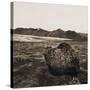 Boulder in Glacial Till-null-Stretched Canvas