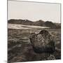 Boulder in Glacial Till-null-Mounted Photographic Print