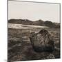 Boulder in Glacial Till-null-Mounted Photographic Print