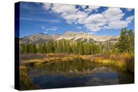 Boulder Mountains in Autumn, Big Wood River, Sawtooth NF, Idaho-Michel Hersen-Stretched Canvas