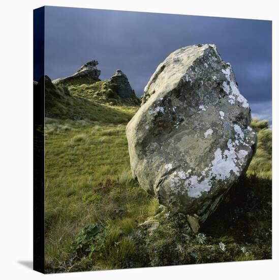 Boulder on a Hillside-Micha Pawlitzki-Stretched Canvas