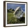 Boulder on a Hillside-Micha Pawlitzki-Framed Premium Photographic Print