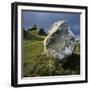 Boulder on a Hillside-Micha Pawlitzki-Framed Premium Photographic Print