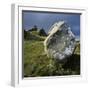 Boulder on a Hillside-Micha Pawlitzki-Framed Premium Photographic Print