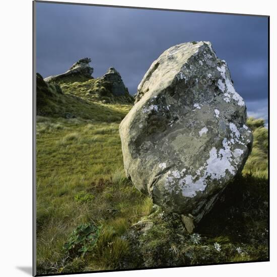 Boulder on a Hillside-Micha Pawlitzki-Mounted Photographic Print