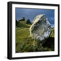 Boulder on a Hillside-Micha Pawlitzki-Framed Premium Photographic Print