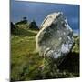 Boulder on a Hillside-Micha Pawlitzki-Mounted Premium Photographic Print
