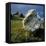 Boulder on a Hillside-Micha Pawlitzki-Framed Stretched Canvas