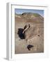 Boulder That Looks Like a Broken Heart Among the Badlands, Petrified Forest National Park, Arizona-James Hager-Framed Photographic Print