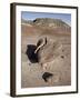 Boulder That Looks Like a Broken Heart Among the Badlands, Petrified Forest National Park, Arizona-James Hager-Framed Photographic Print