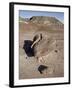 Boulder That Looks Like a Broken Heart Among the Badlands, Petrified Forest National Park, Arizona-James Hager-Framed Photographic Print