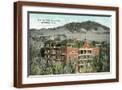 Brown Frame