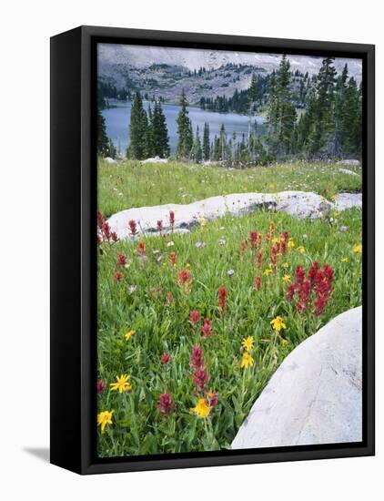 Boulders Amid Wildflowers, Ryder Lake, High Uintas Wilderness, Wasatch National Forest, Utah, USA-Scott T^ Smith-Framed Stretched Canvas