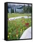 Boulders Amid Wildflowers, Ryder Lake, High Uintas Wilderness, Wasatch National Forest, Utah, USA-Scott T^ Smith-Framed Stretched Canvas