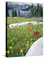 Boulders Amid Wildflowers, Ryder Lake, High Uintas Wilderness, Wasatch National Forest, Utah, USA-Scott T^ Smith-Stretched Canvas