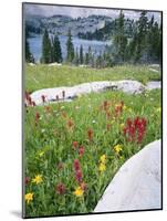 Boulders Amid Wildflowers, Ryder Lake, High Uintas Wilderness, Wasatch National Forest, Utah, USA-Scott T^ Smith-Mounted Photographic Print