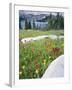 Boulders Amid Wildflowers, Ryder Lake, High Uintas Wilderness, Wasatch National Forest, Utah, USA-Scott T^ Smith-Framed Photographic Print