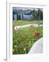 Boulders Amid Wildflowers, Ryder Lake, High Uintas Wilderness, Wasatch National Forest, Utah, USA-Scott T^ Smith-Framed Photographic Print