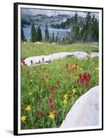 Boulders Amid Wildflowers, Ryder Lake, High Uintas Wilderness, Wasatch National Forest, Utah, USA-Scott T^ Smith-Framed Photographic Print