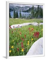 Boulders Amid Wildflowers, Ryder Lake, High Uintas Wilderness, Wasatch National Forest, Utah, USA-Scott T^ Smith-Framed Photographic Print