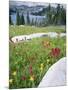 Boulders Amid Wildflowers, Ryder Lake, High Uintas Wilderness, Wasatch National Forest, Utah, USA-Scott T^ Smith-Mounted Photographic Print