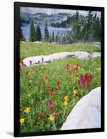 Boulders Amid Wildflowers, Ryder Lake, High Uintas Wilderness, Wasatch National Forest, Utah, USA-Scott T^ Smith-Framed Photographic Print