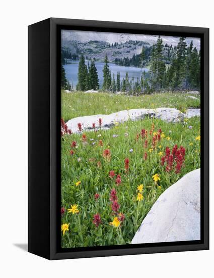 Boulders Amid Wildflowers, Ryder Lake, High Uintas Wilderness, Wasatch National Forest, Utah, USA-Scott T^ Smith-Framed Stretched Canvas