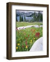 Boulders Amid Wildflowers, Ryder Lake, High Uintas Wilderness, Wasatch National Forest, Utah, USA-Scott T^ Smith-Framed Photographic Print