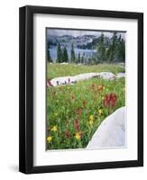 Boulders Amid Wildflowers, Ryder Lake, High Uintas Wilderness, Wasatch National Forest, Utah, USA-Scott T^ Smith-Framed Photographic Print
