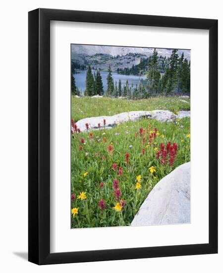 Boulders Amid Wildflowers, Ryder Lake, High Uintas Wilderness, Wasatch National Forest, Utah, USA-Scott T^ Smith-Framed Photographic Print